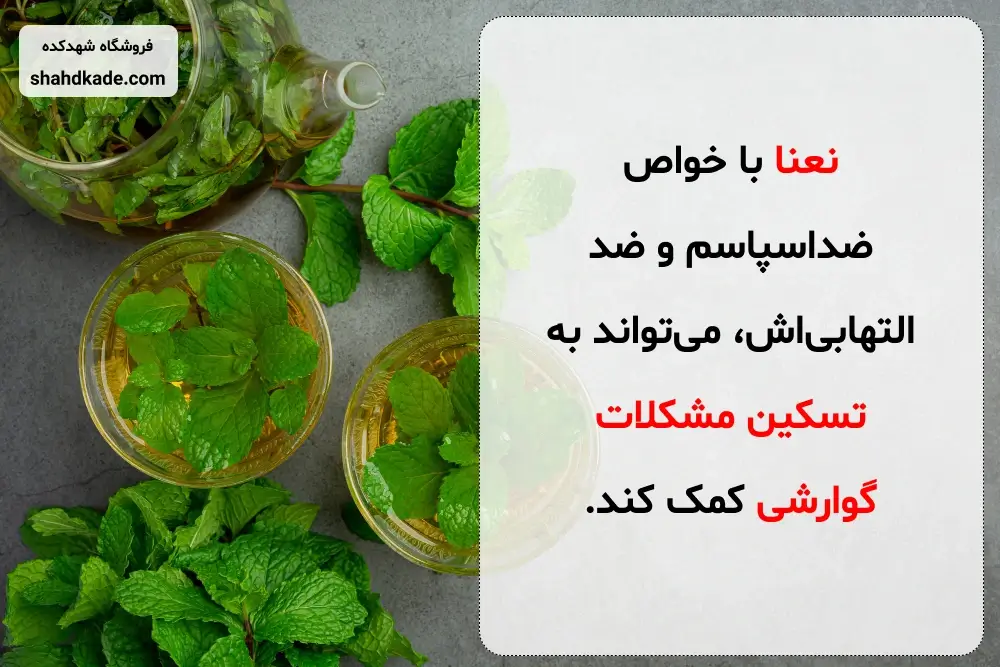 شربت عسل و نعنا برای گوارش