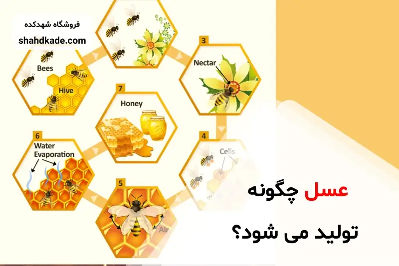 عسل چگونه تولید میشود