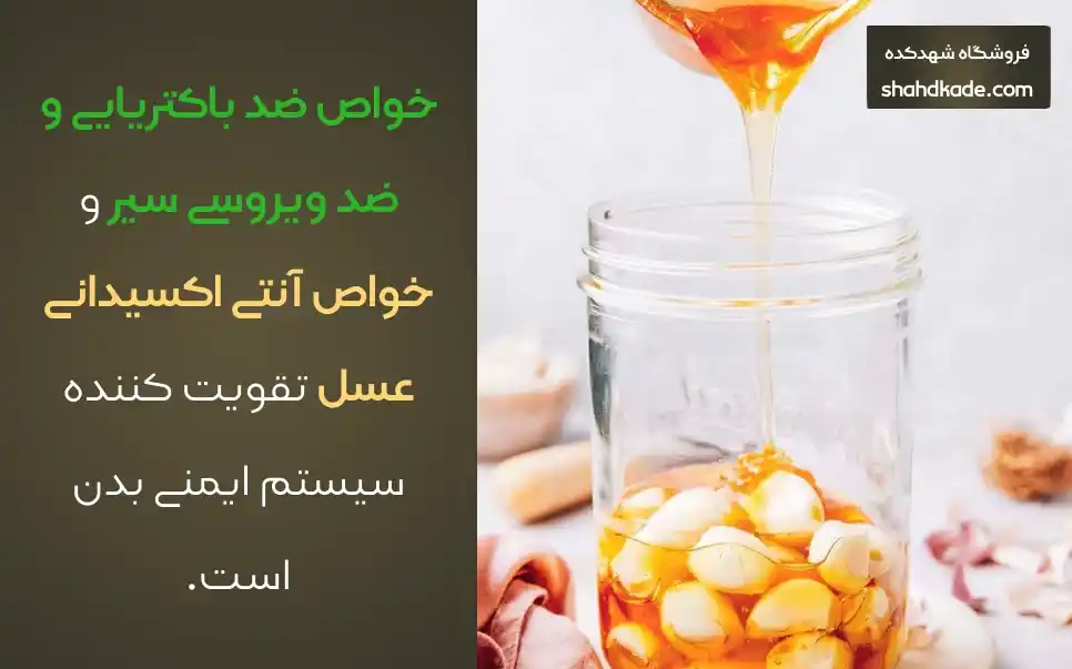 خواص سیر و عسل برای سلامتی