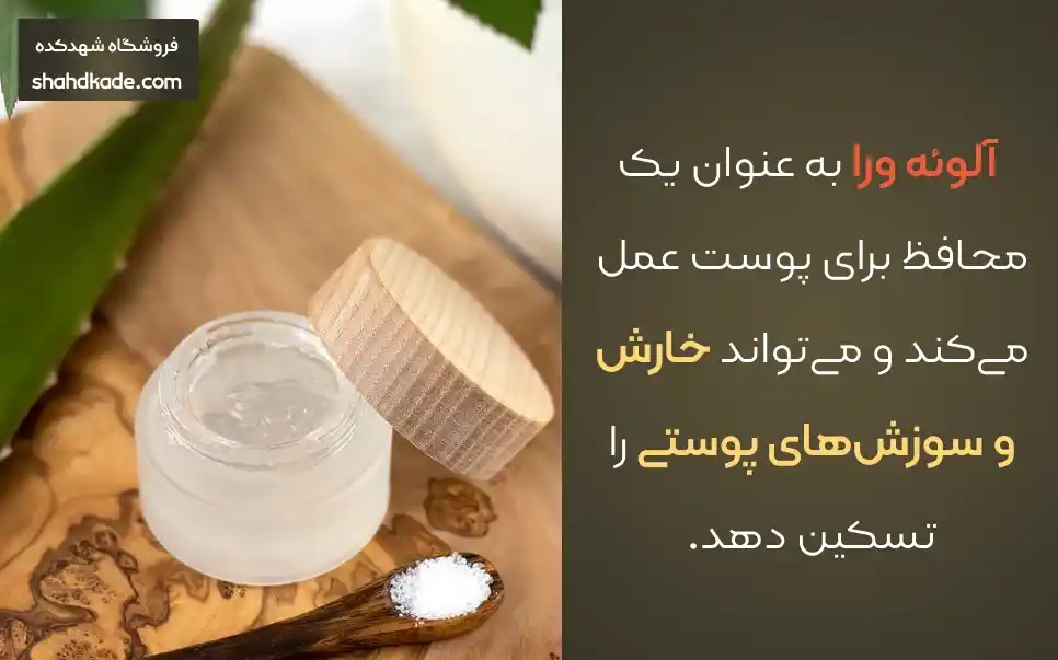 خواص آلوئه ورا برای پوست