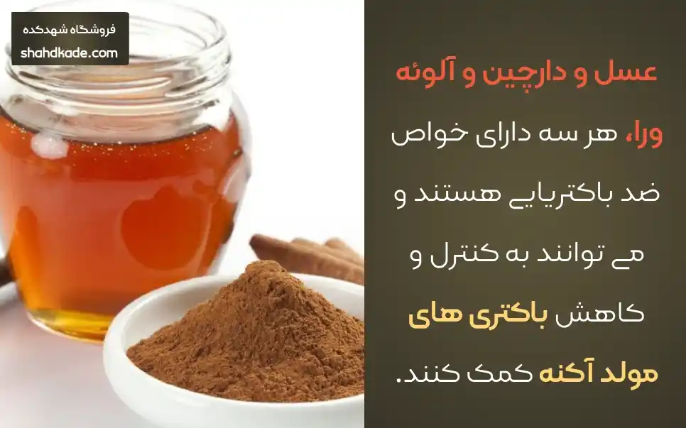 ماسک آلوئه ورا و عسل و دارچین