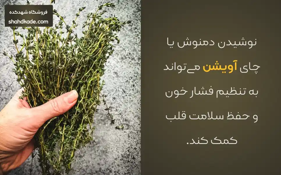 خواص گیاه آویشن